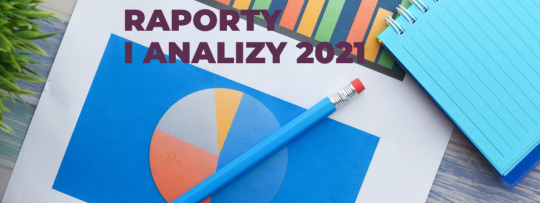 Raporty i analizy 2021
